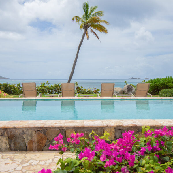Caribbean Wind